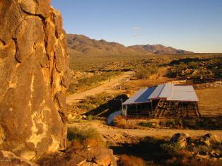 Wickenburg winter visitors