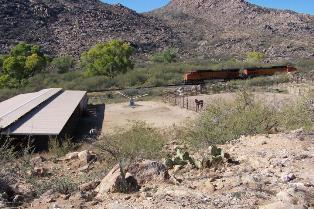 arizona winter visitors