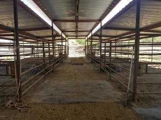 Piped corrals Barn