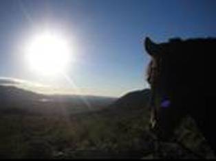 every year northerners come south to rope in Wickenburg